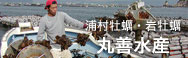 丸善水産