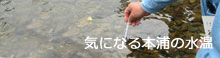 本浦の水温