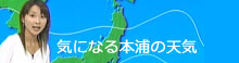 天気予報